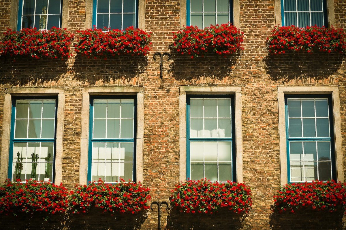 Как выбрать окна в квартиру: советы экспертов